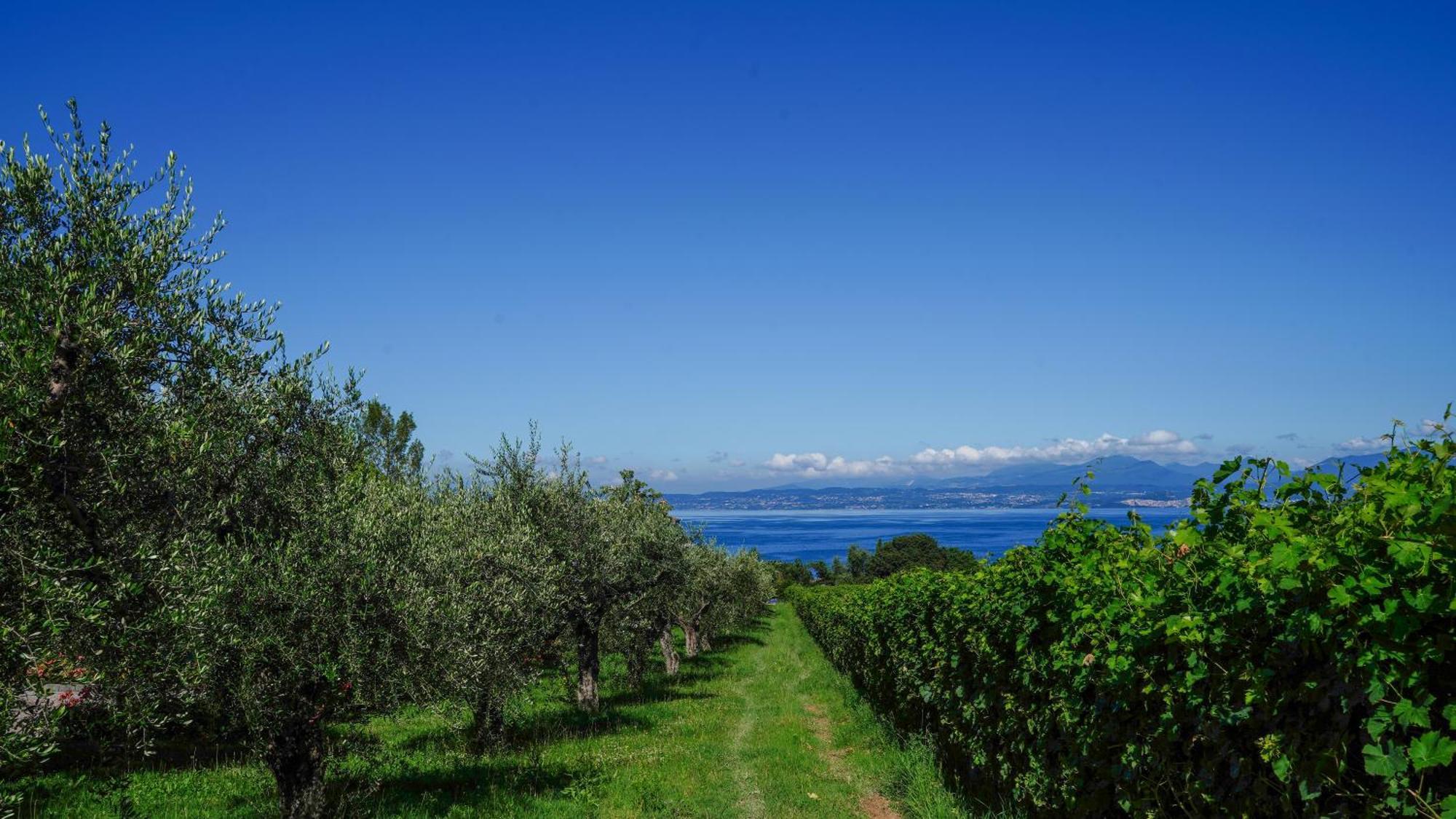 Cala Appartamenti Bardolino Luaran gambar